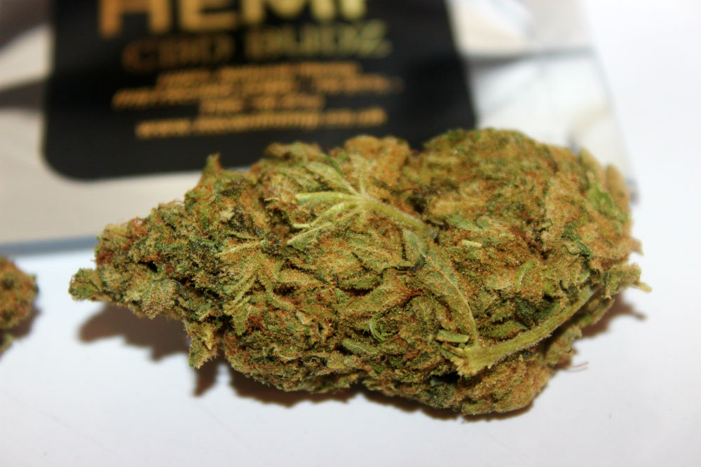 H-Town Hemp CBD Flower “Pistachio” 14-21% CBD Review