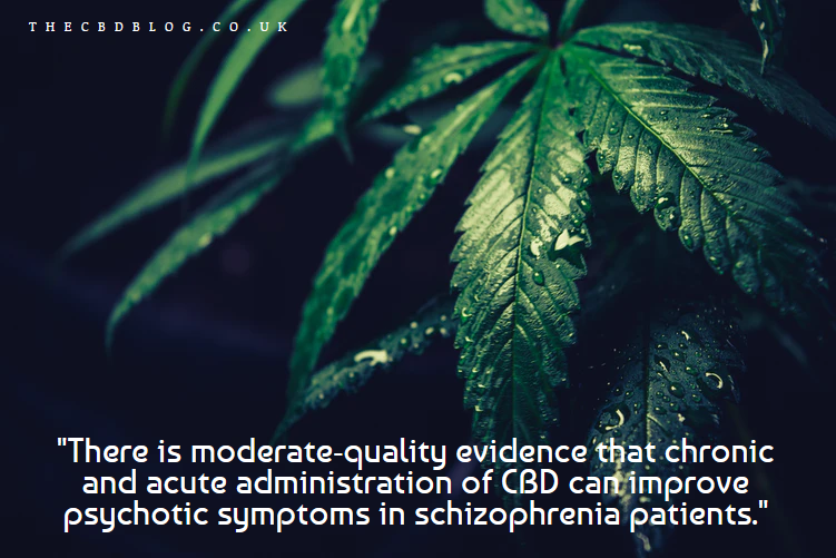 CBD Improves Psychotic Symptoms In Schizophrenia