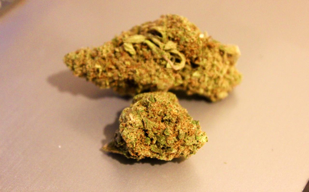 Natural Strains – Gelato 17.6% CBD Flower Review