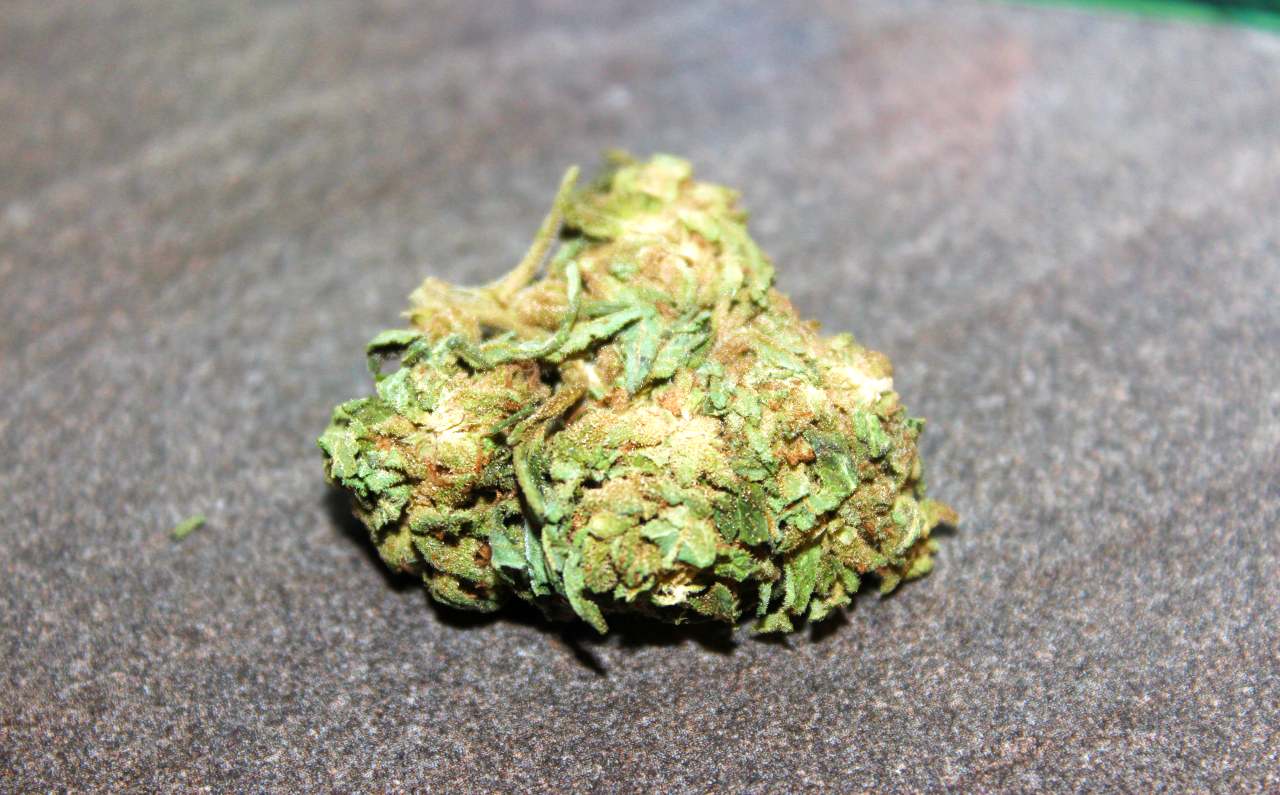 Paradise CBD – Blue Cheese 23% CBD Flower Review