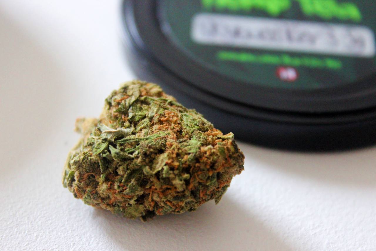 Paradise CBD – Skywalker OG 26.1% CBD Flower Review