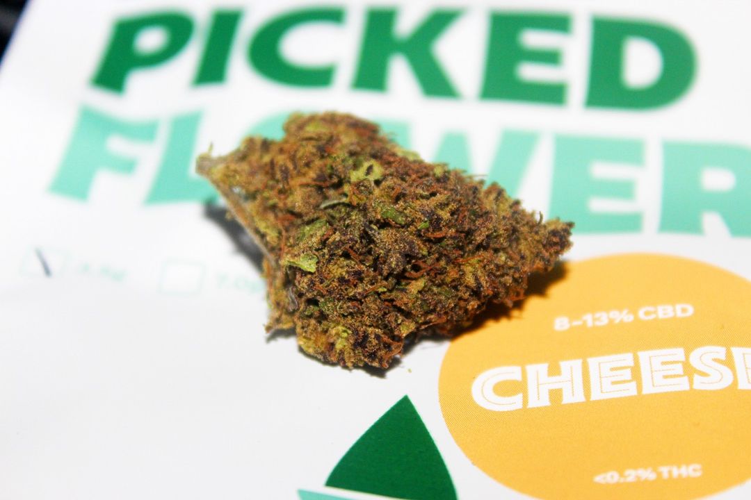 HempElf – Purple Cheese 8-13% CBD Flower Review