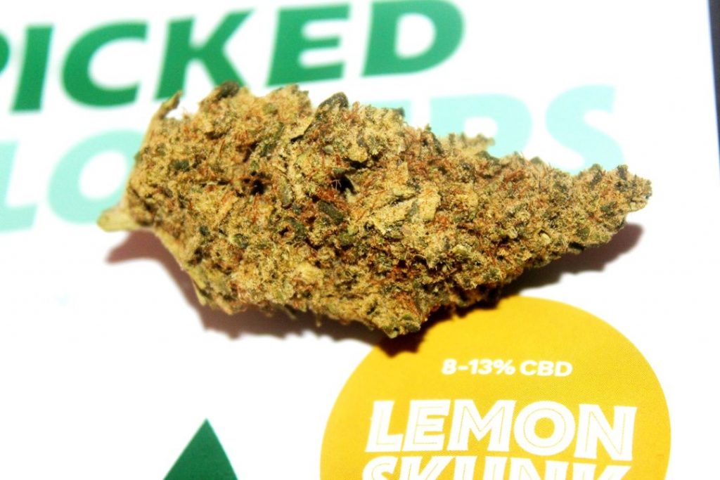 HempElf - Lemon Skunk 8-13% CBD Flower Review