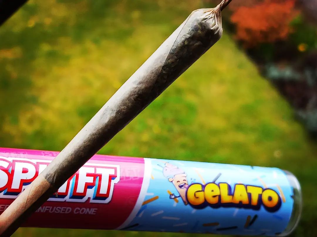 SPLYFT – Gelato & Gorilla Glue Cannabis Terpene Infused Cones Review