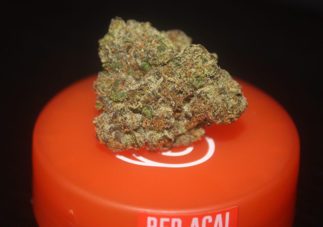 SHERBINSKIS - Red Acai - 31.73% (Total Active Cannabinoids) - THC Flower Review - Cannabis Culture