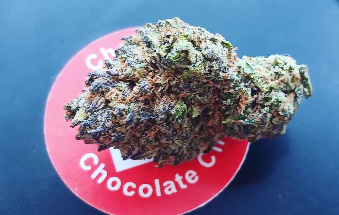 Originals CBD - Cherry Chocolate Chip CBD Flower Review