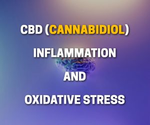 CBD Cannabidiol Inflammation Oxidative Stress