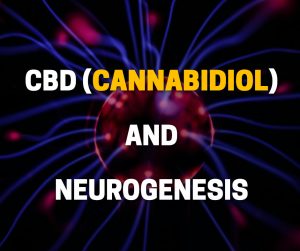 CBD Cannabidiol Neurogenesis