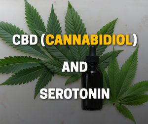 CBD Cannabidiol and Serotonin