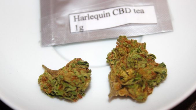 Hygeia CBD – “Harlequin” CBD Flower Review