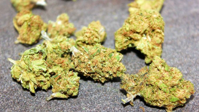 Natural Strains - Gorilla Glue 17.6% CBD Flower Review