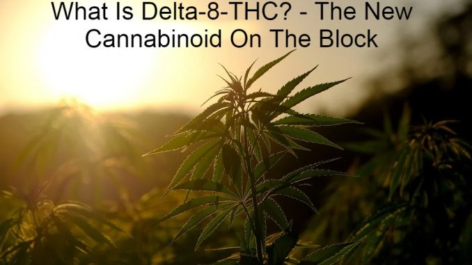 What Is Delta-8-THC? - The New Cannabinoid On The Block