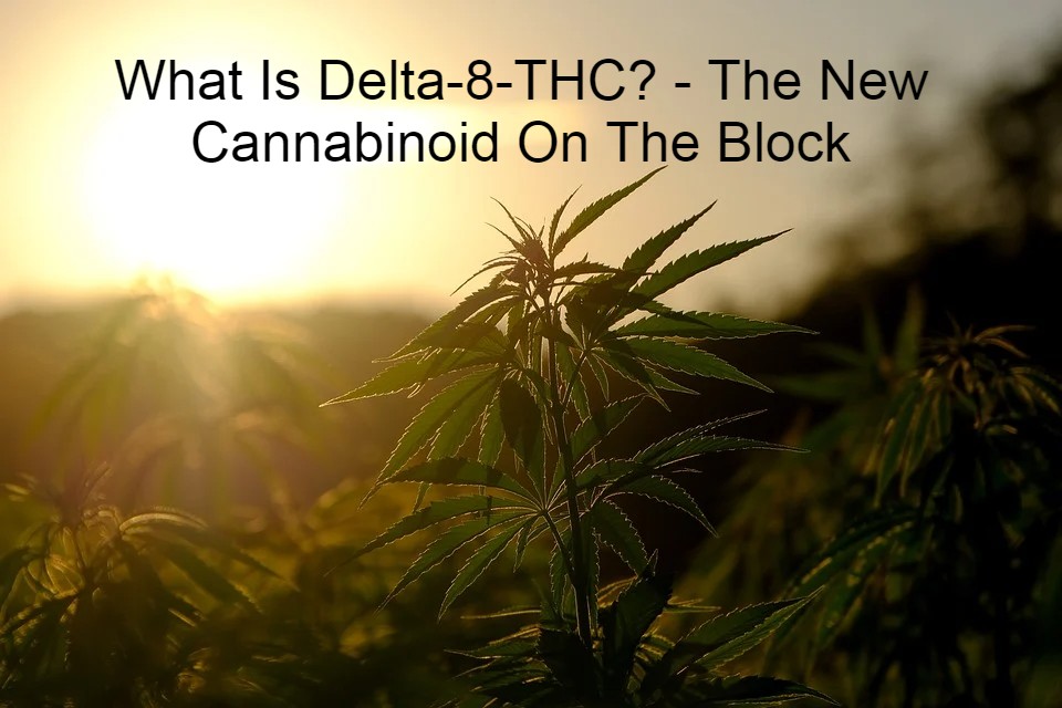 What Is Delta-8-THC? - The New Cannabinoid On The Block - The CBD Blog