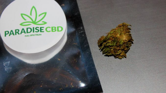 Paradise CBD – Blue Cheese 23% CBD Flower Review