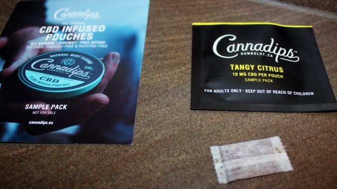 Cannadips Tangy Citrus Hemp CBD Pouches Review