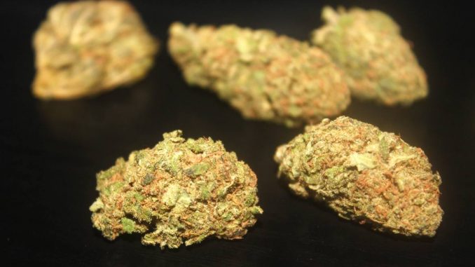 superlemonhazecbdreviewparadisecbd Paradise CBD – Super Lemon Haze CBD Flower Review