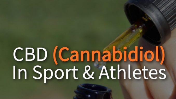 CBD Oil Cannabidiol In Sports & Athletes