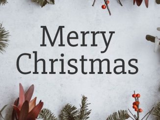 Merry Christmas from THECBDBLOG.CO.UK