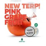 HempElf The Goods Pink Grapefruit CBD Wax New Terpenes