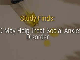Study Finds: CBD (Cannabidiol) May Help Treat Social Anxiety Disorder