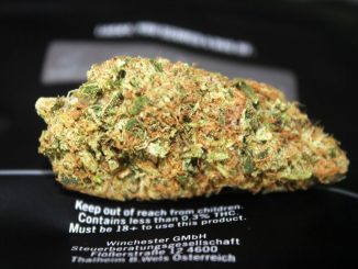 The Goods - Limited Edition - Sour Sucker Punch 14% CBD Flower Review