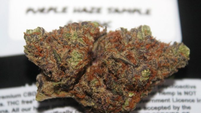 BUDBROS - Purple Haze CBD Flower Review