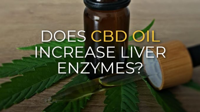 Does CBD Oil Increase Liver Enzymes?