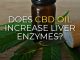 Does CBD Oil Increase Liver Enzymes?