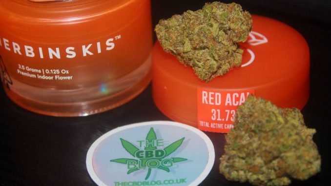 SHERBINSKIS - Red Acai - 31.73% (Total Active Cannabinoids) - THC Flower Review - Cannabis Culture