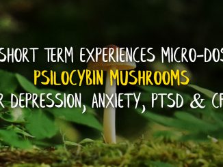 My Short Term Experiences Microdosing Psilocybin Mushrooms For Depression, Anxiety, PTSD & CFS