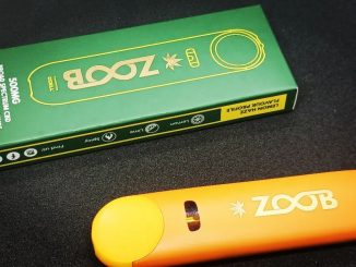 Zoob CBD - Lemon Haze 500mg Broad Spectrum CBD Disposable Vape Pen Review