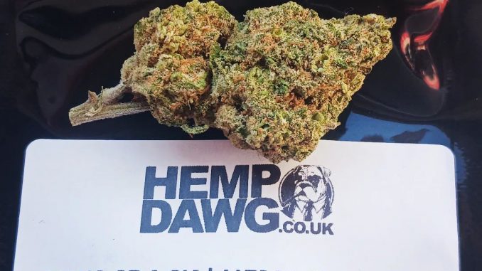 HempDawg.co.uk - Pink Crack CBD Flower Review