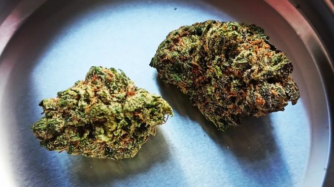 Originals CBD - Cherry Chocolate Chip CBD Flower Review