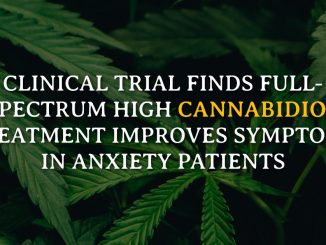 Clinical Trial Finds Full-Spectrum High Cannabidiol Treatment Improves Symptoms In Anxiety Patients