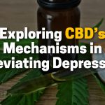Exploring CBD's Mechanisms in Alleviating Depression