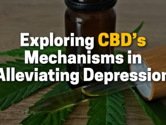 Exploring CBD's Mechanisms in Alleviating Depression